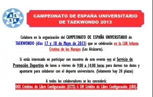 Cartel Voluntarios Taekwondo 2013